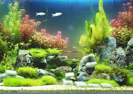 オーダーメイド水槽の制作