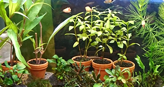 レイアウト素材