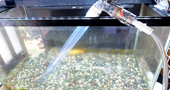 水換え用具