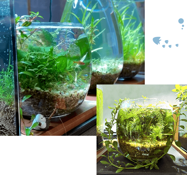 初心者からベテランまで、きっと見つかる、理想の出会い。