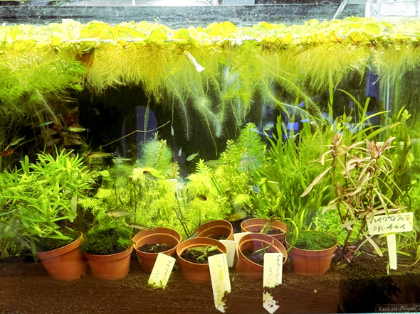 サービス内容の紹介