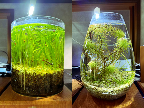 個人のお客様向けサービス