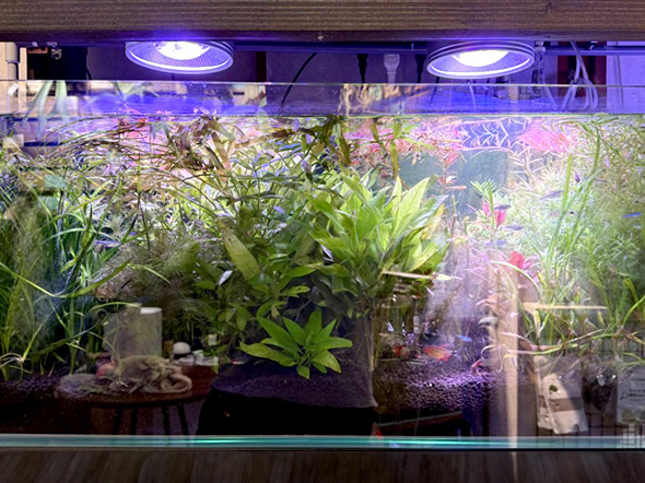 法人のお客様向けサービス